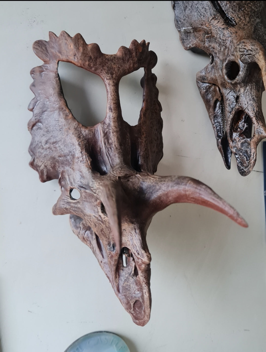 'Ceratopsian Wall' Bundle