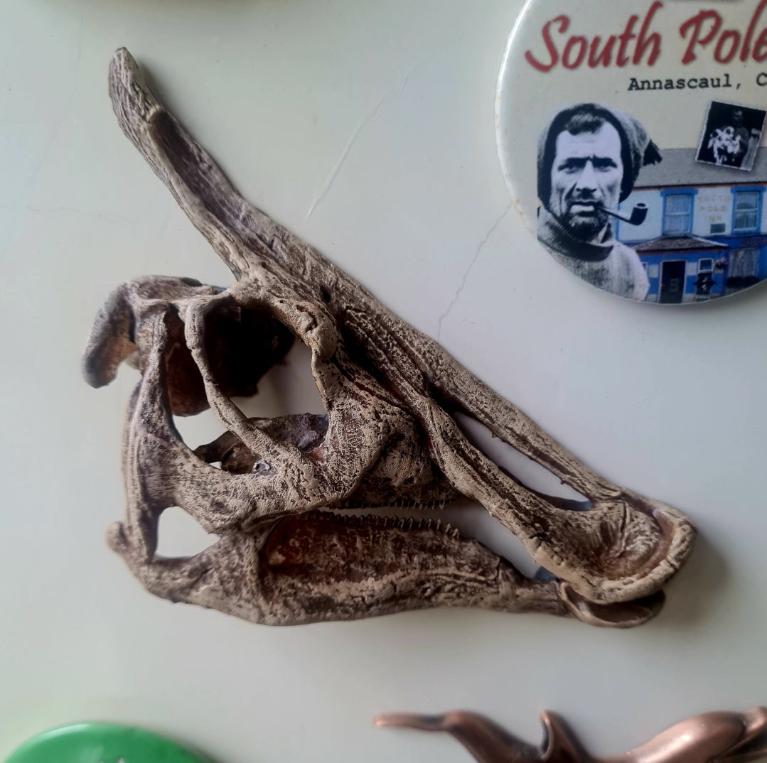 Saurolophus Magnet