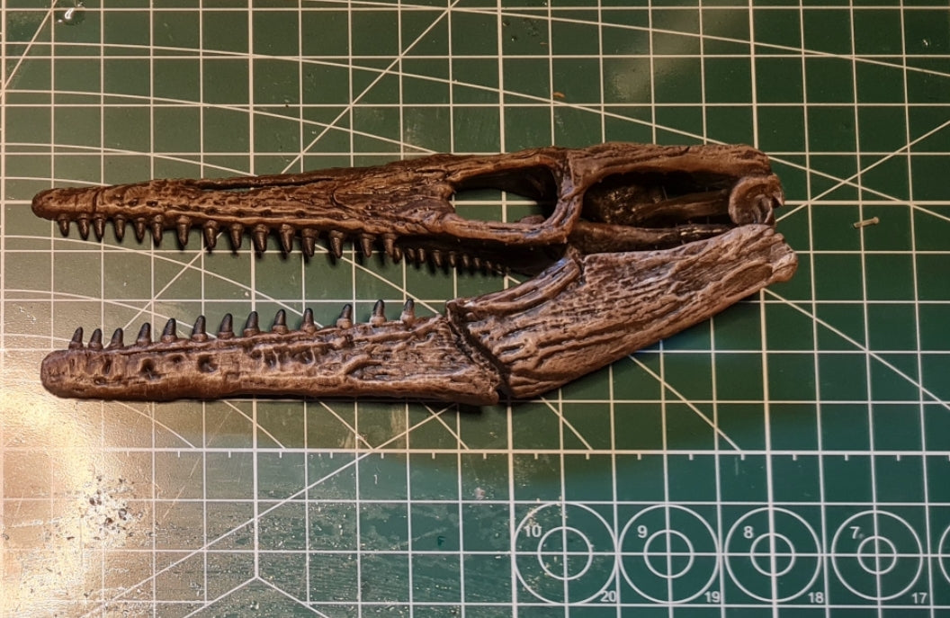 Tylosaurus Magnet
