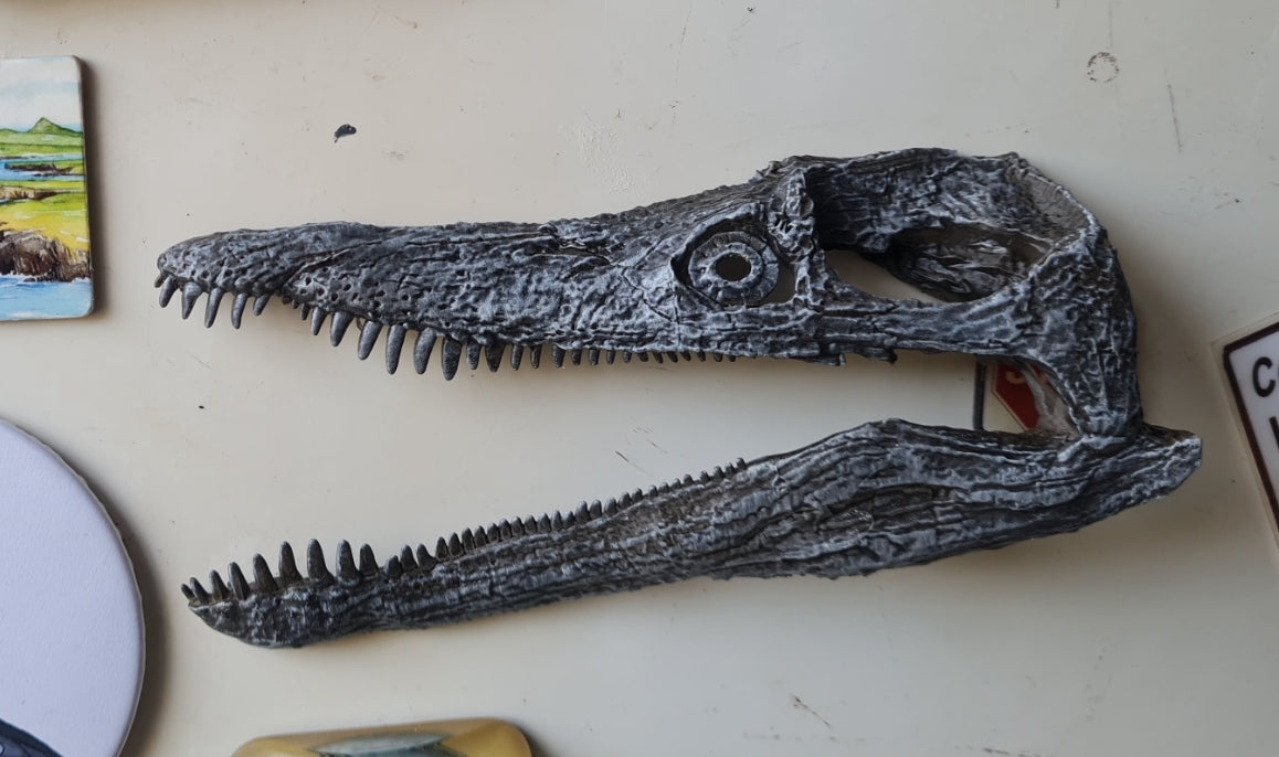 Pliosaurus Magnet
