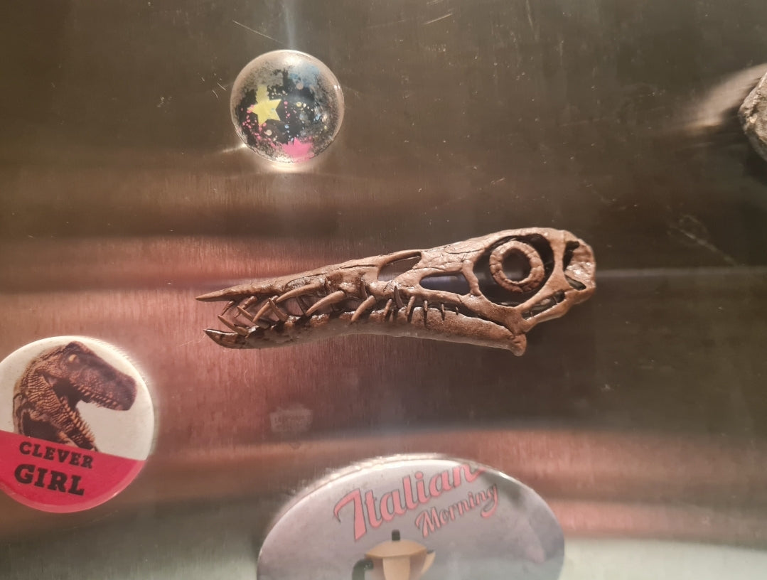 Rhamphorynchus Magnet