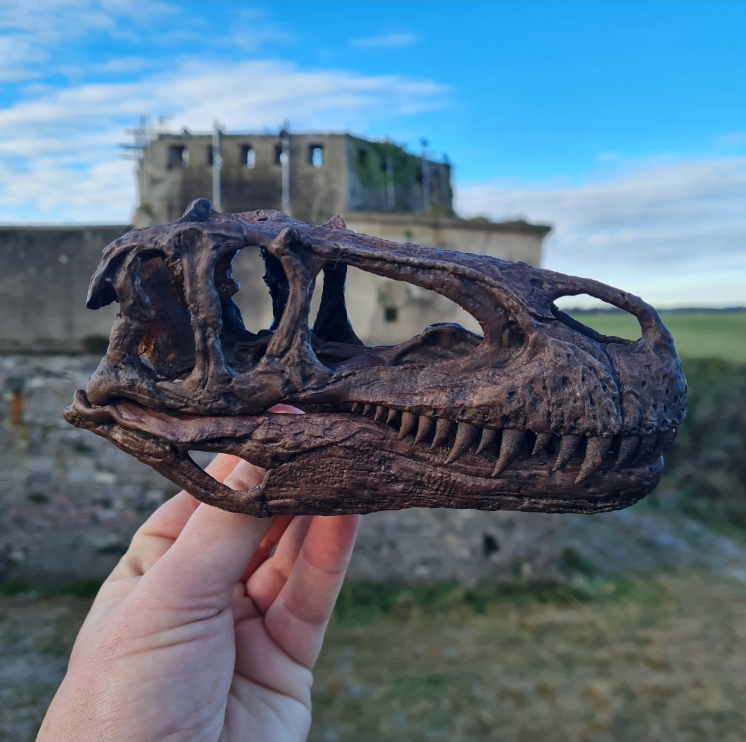 Megalosaurus bucklandii