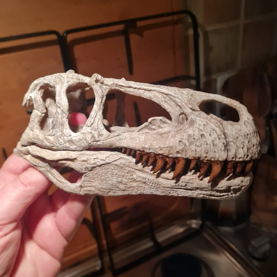 Megalosaurus bucklandii