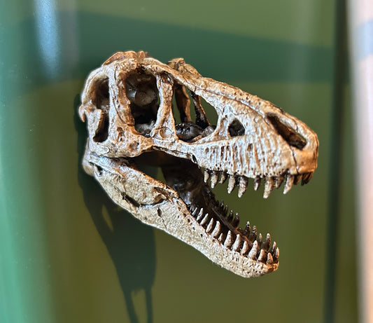 Tarbosaurus 3D Magnet