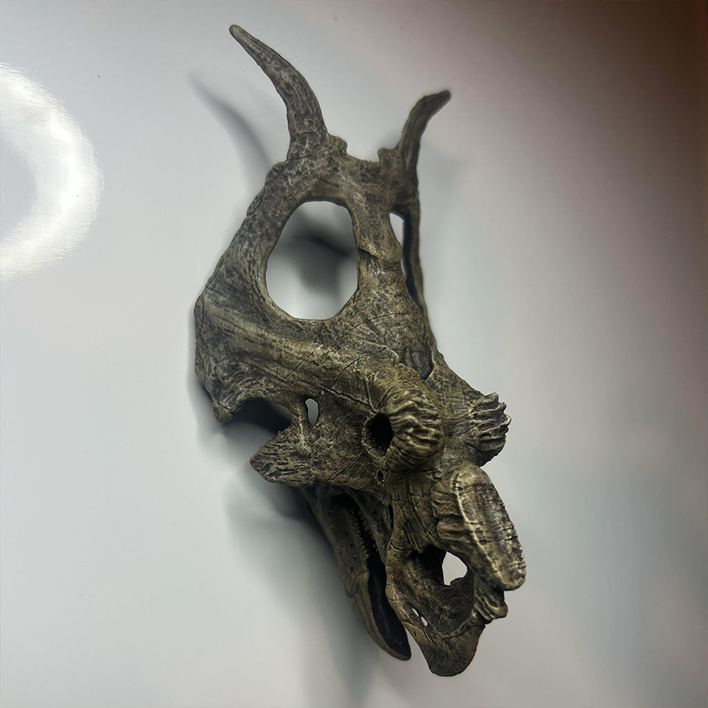 'Ceratopsian Wall' Bundle