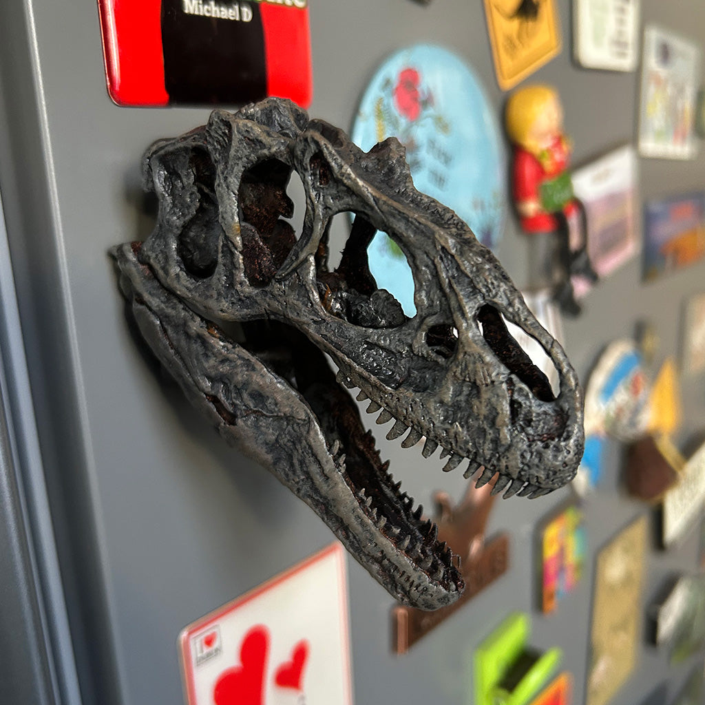 Allosaurus fragilis 3D Magnet