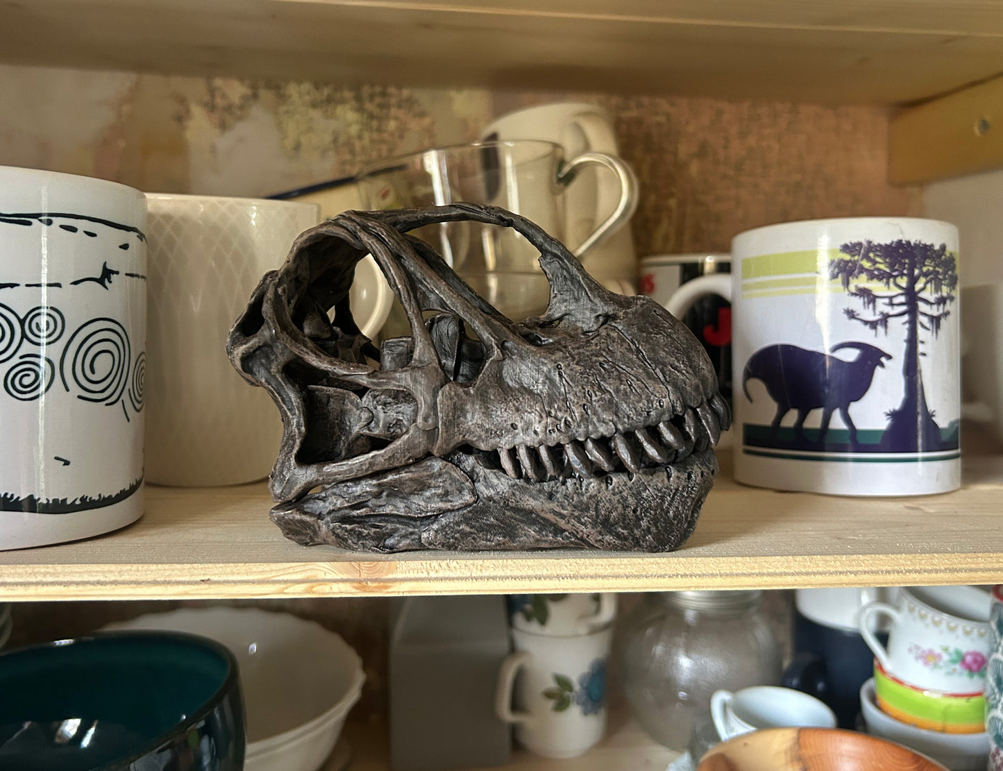 Camarasaurus supremus