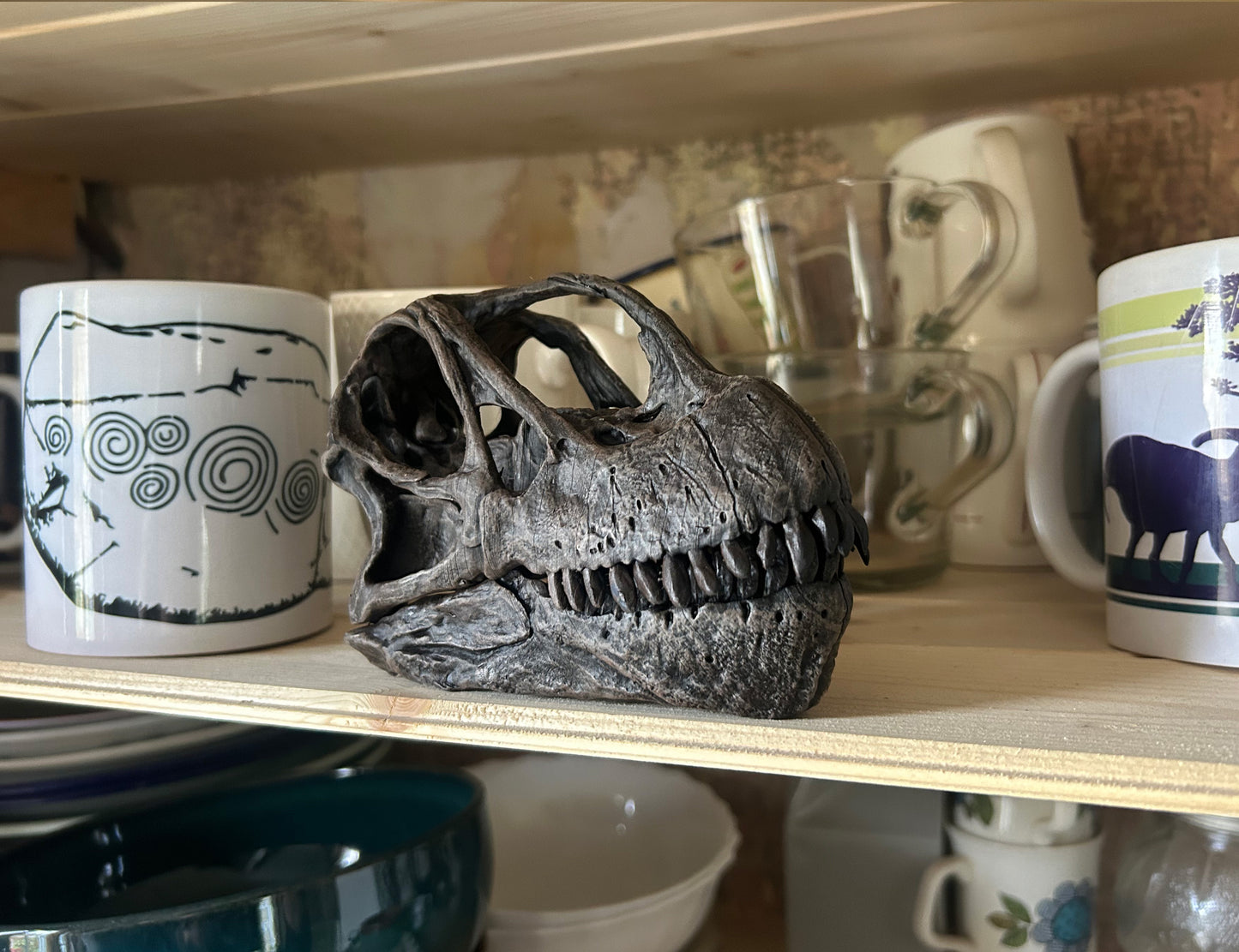 Camarasaurus supremus
