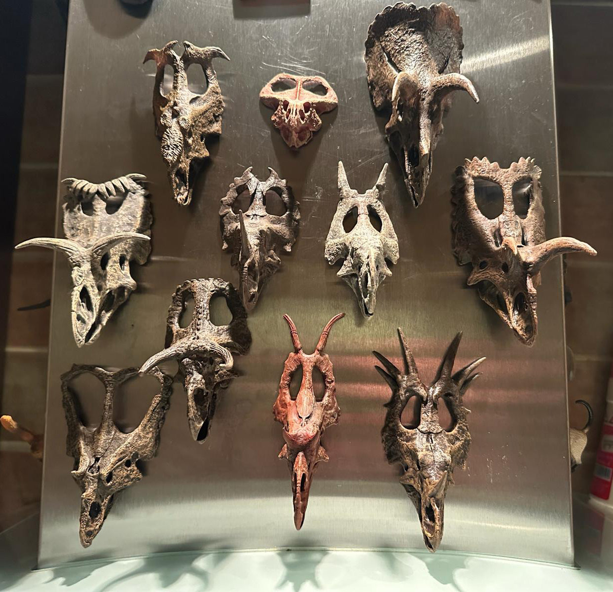 'Ceratopsian Wall' Bundle