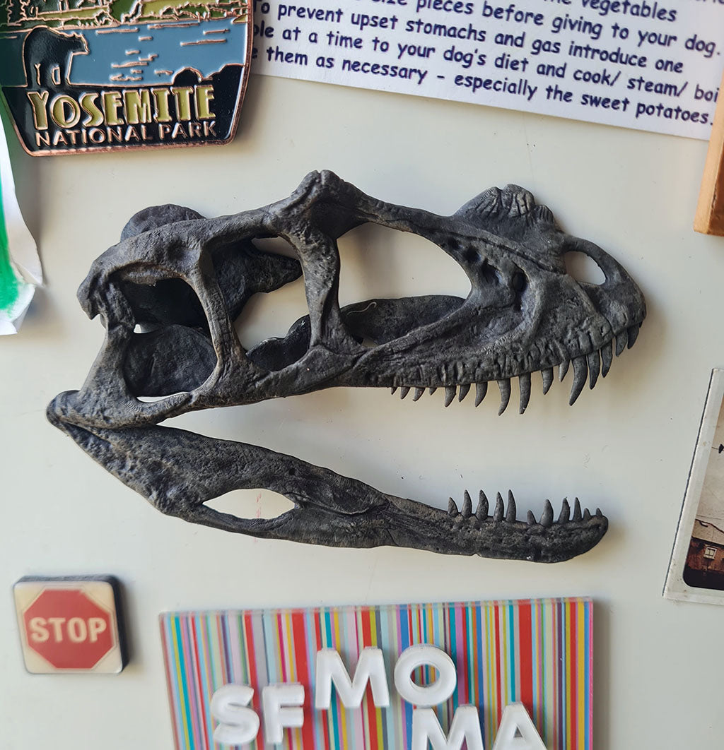 Ceratosaurus (1:5) Magnet