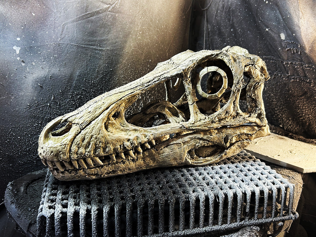 Deinonychus antirrhopus (1:1)