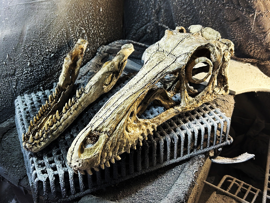 Deinonychus antirrhopus (1:1)