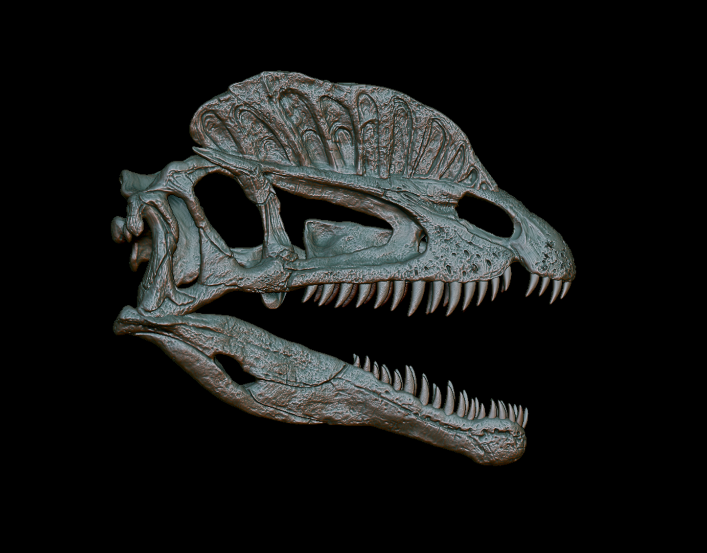 Dilophosaurus Magnet
