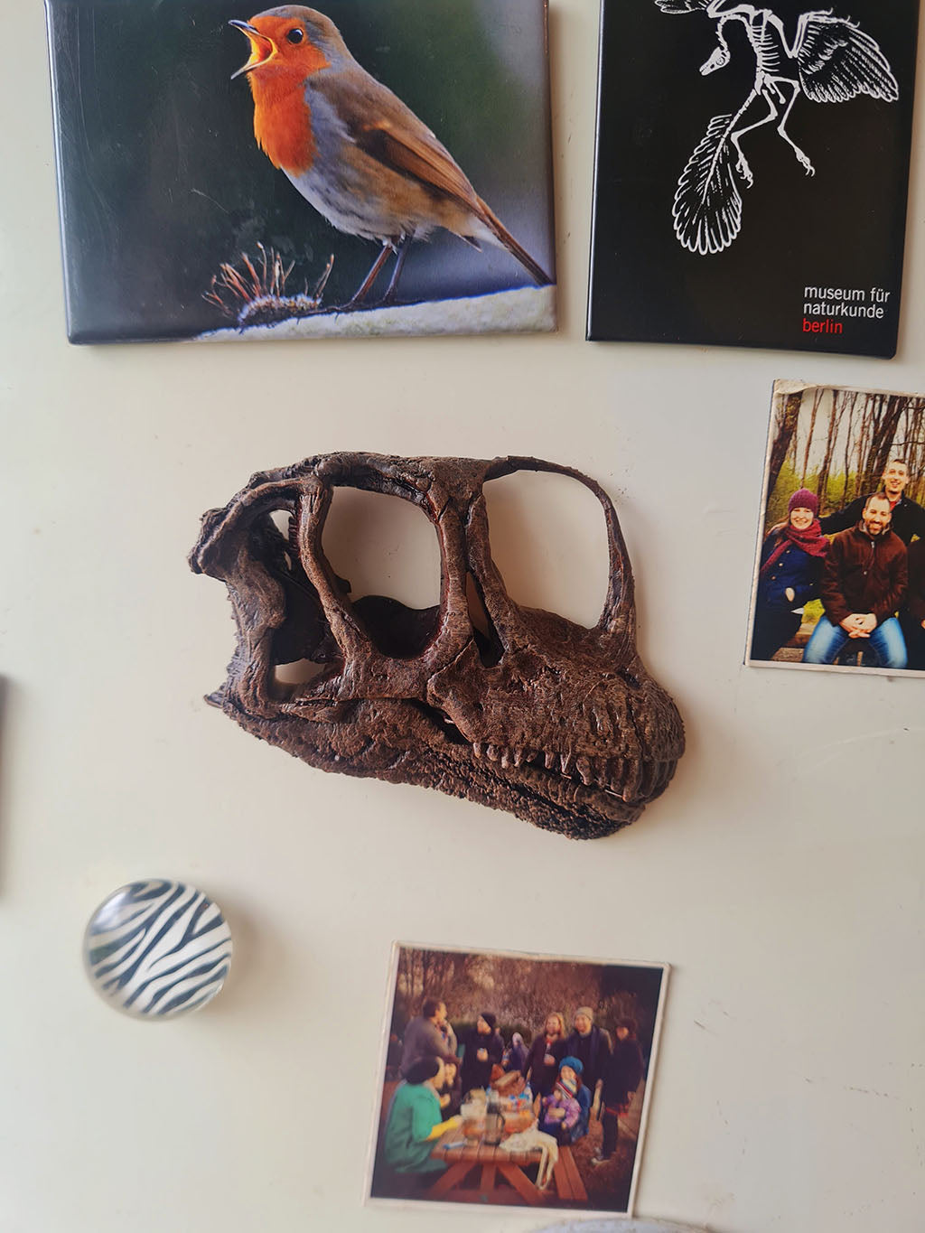 Europasaurus (1:3 scale) Magnet