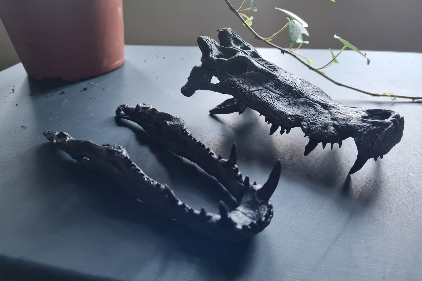 Kaprosuchus saharicus