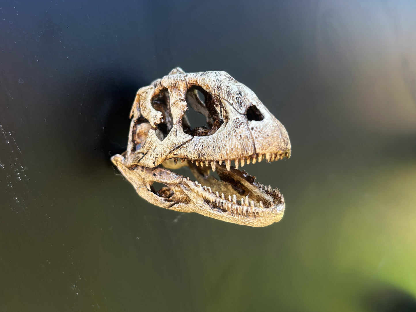 Majungasaurus 3d Magnet