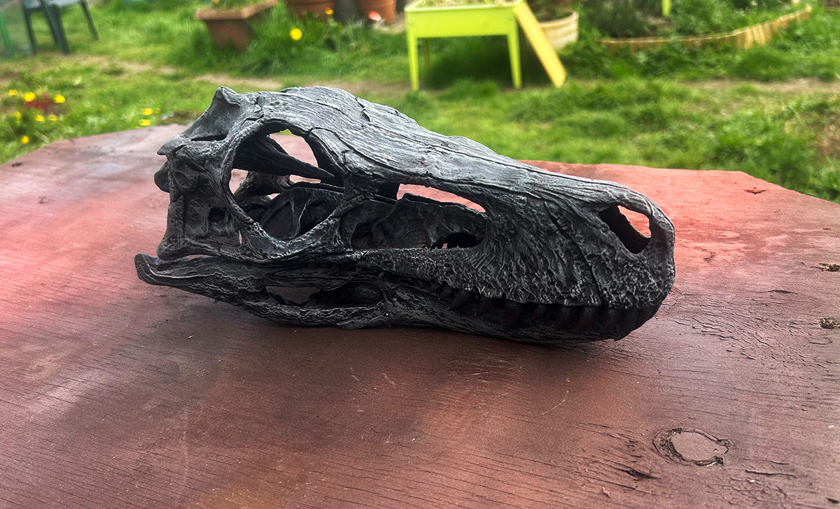 Herrerasaurus ischigualastensis