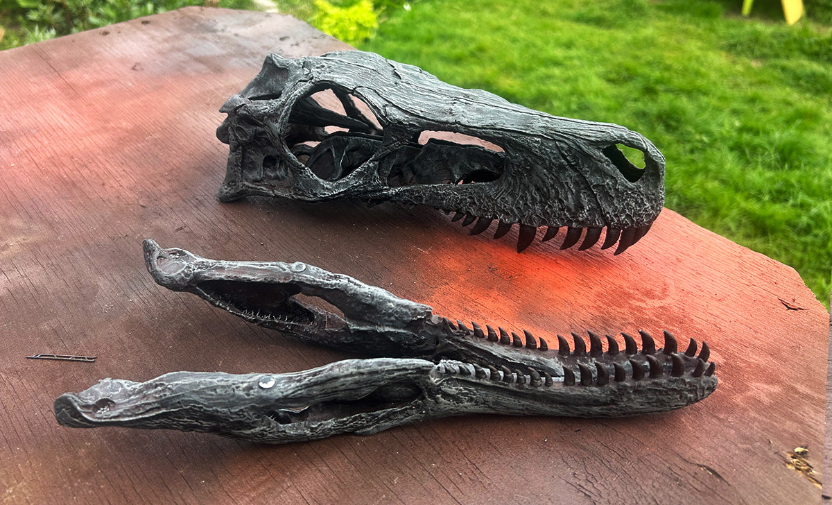 Herrerasaurus ischigualastensis