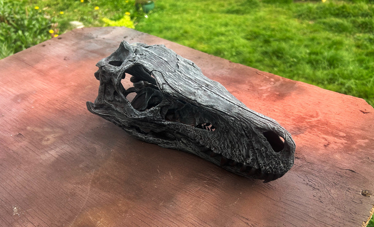 Herrerasaurus ischigualastensis