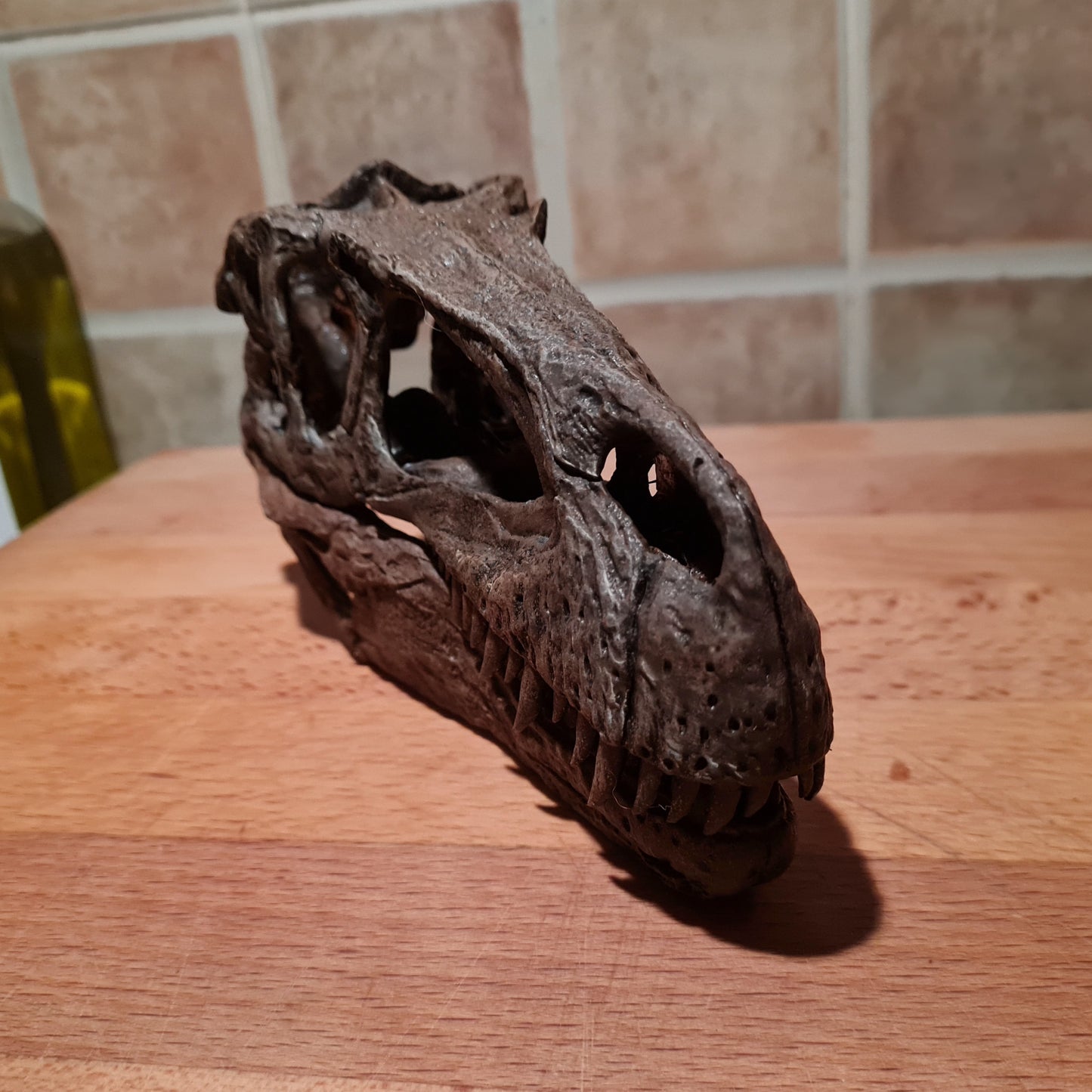 Megalosaurus bucklandii