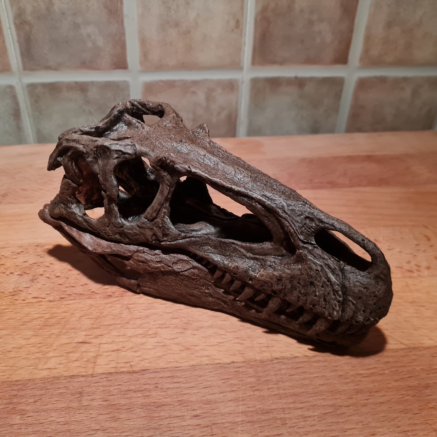Megalosaurus bucklandii