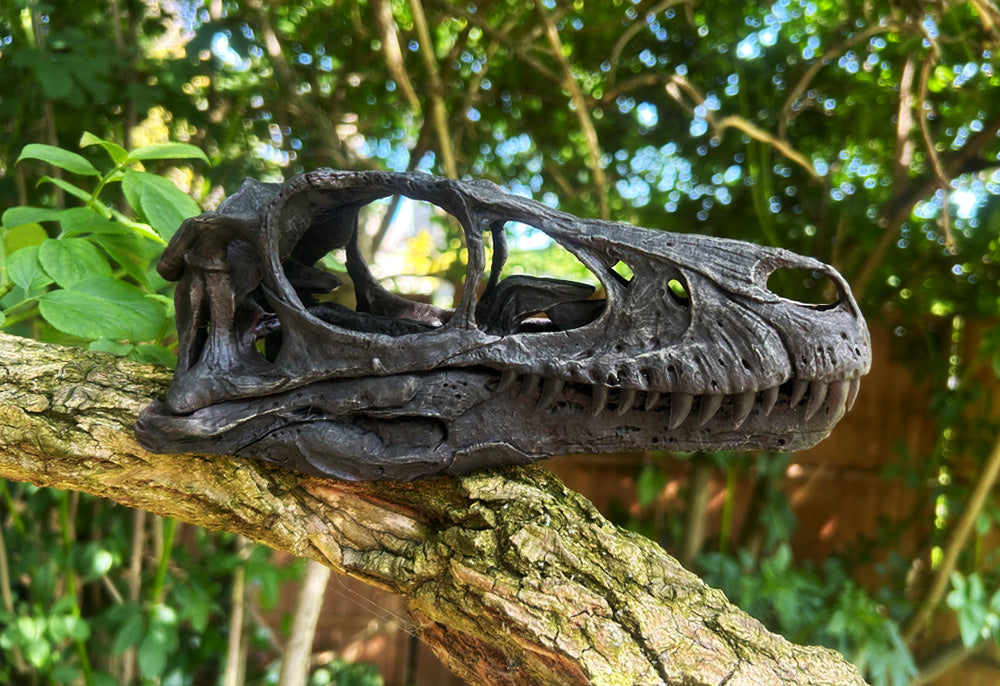 Saurornitholestes langstoni