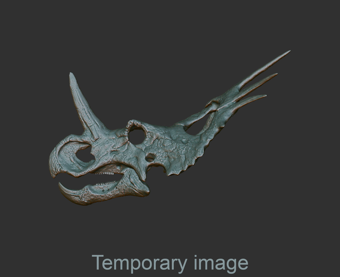 Styracosaurus (bas relief)