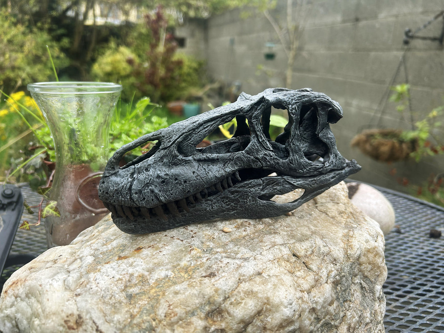Torvosaurus tanneri