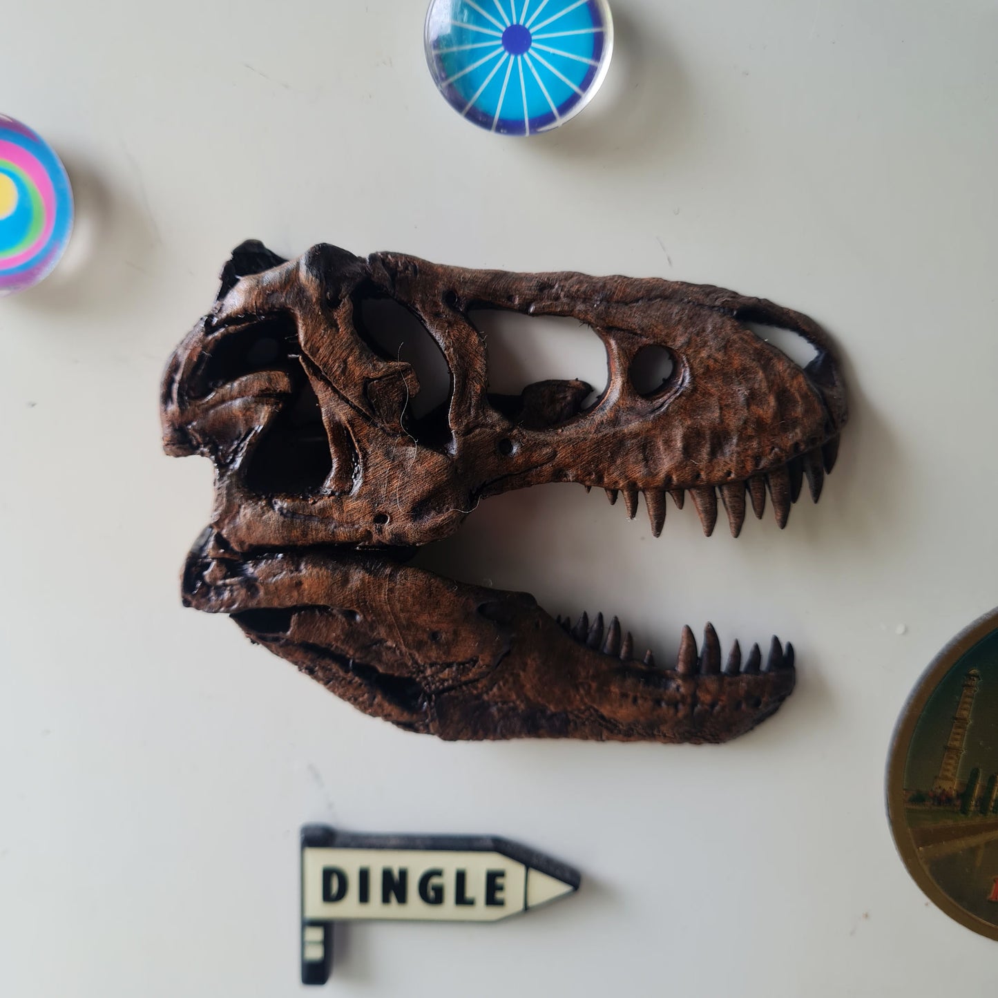 Tyrannosaurus rex (1:16) Magnet