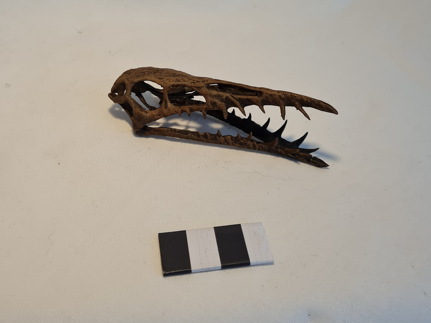 Dearc sgiathanach 1:2 (BB)