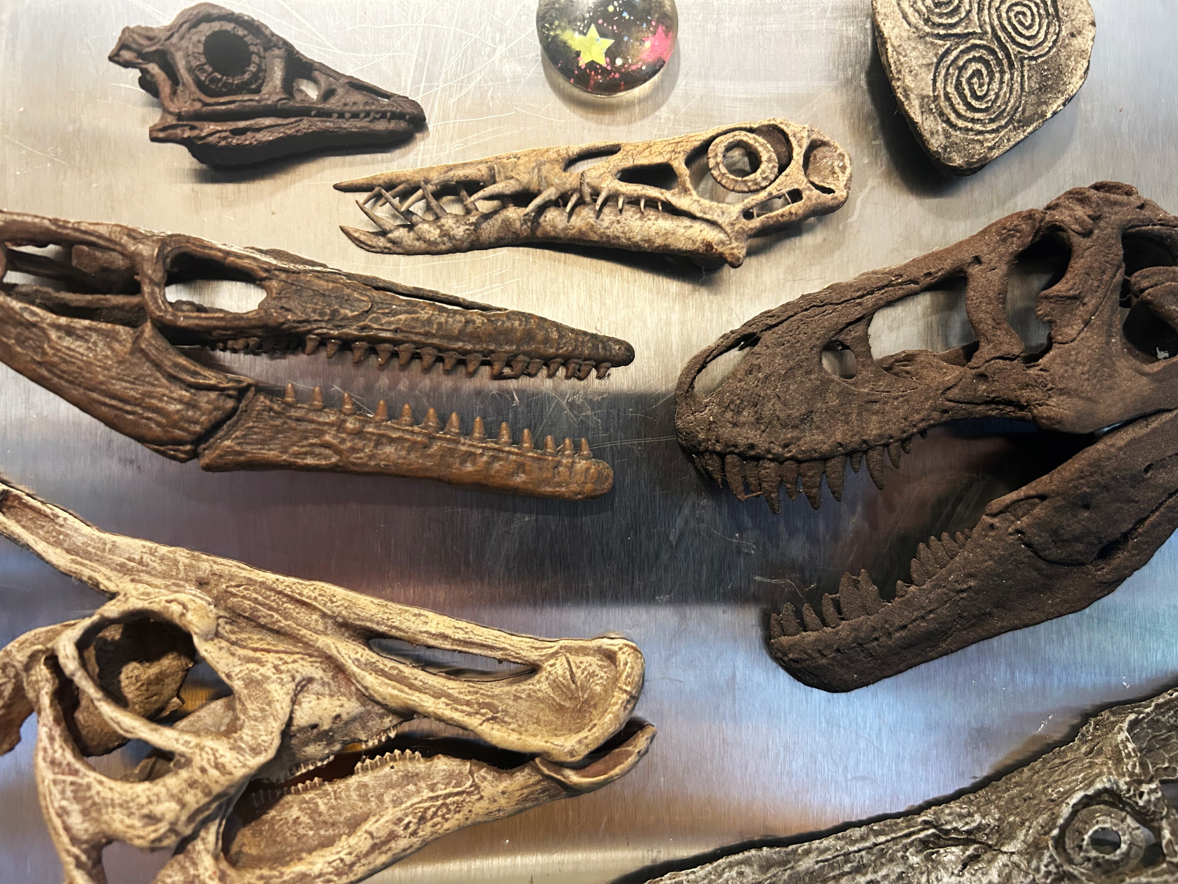 Bas Collection Point Bas-Relief Fridge Magnets – Scaled Beast
