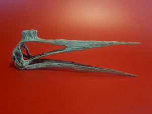 Quetzalcoatlus northropi