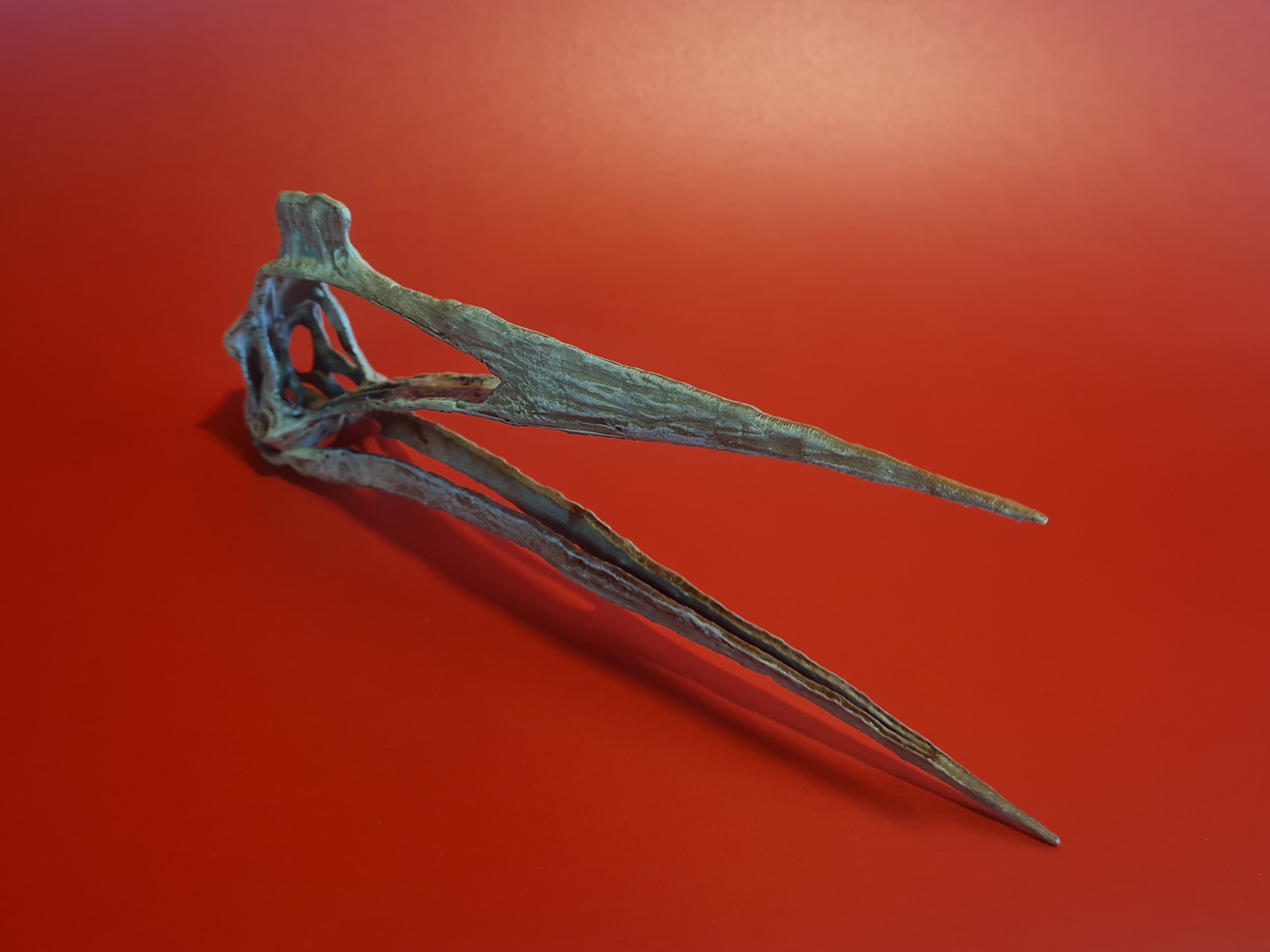 Quetzalcoatlus northropi