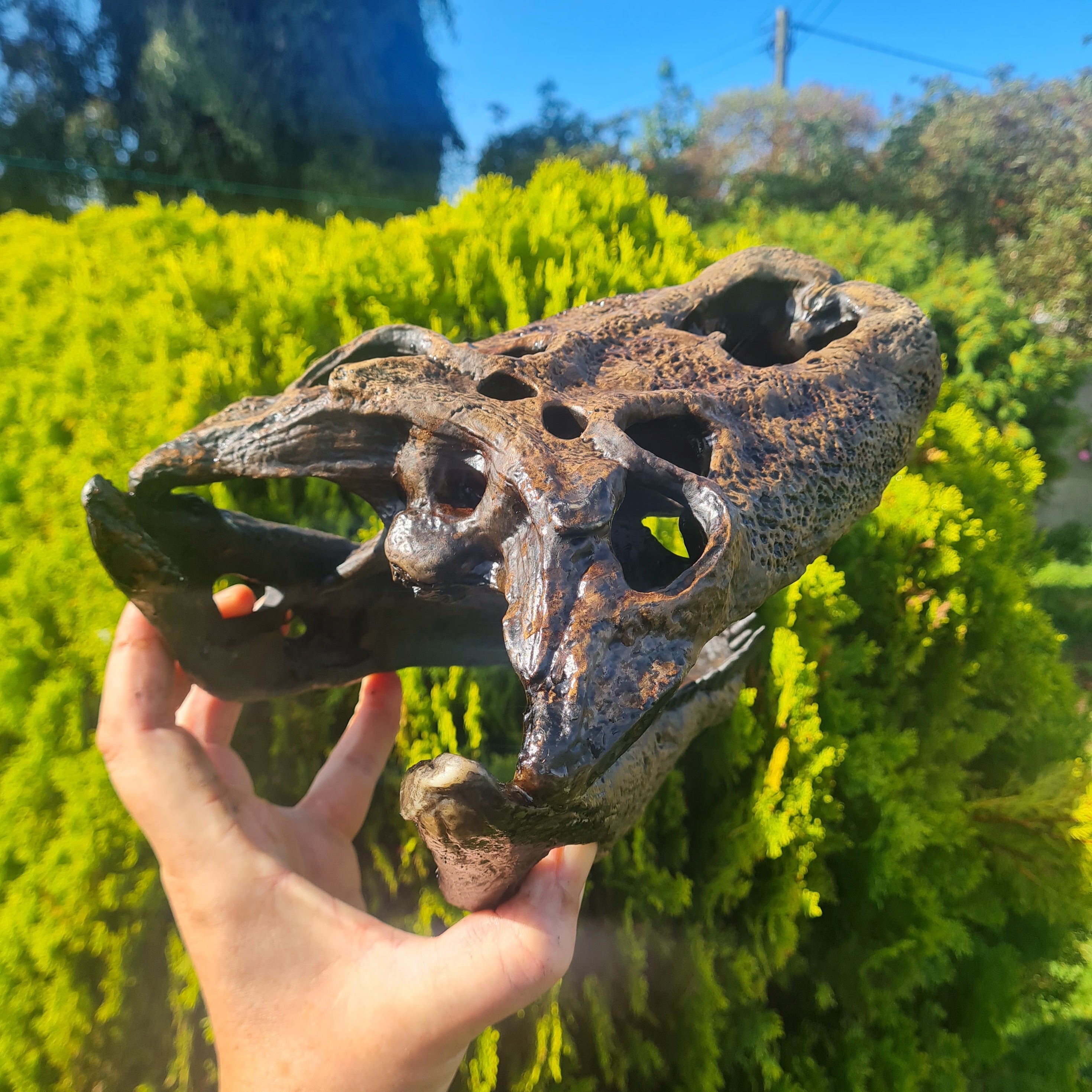 Purussaurus Skull