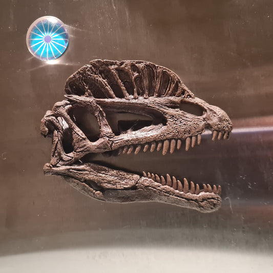 Dilophosaurus Magnet