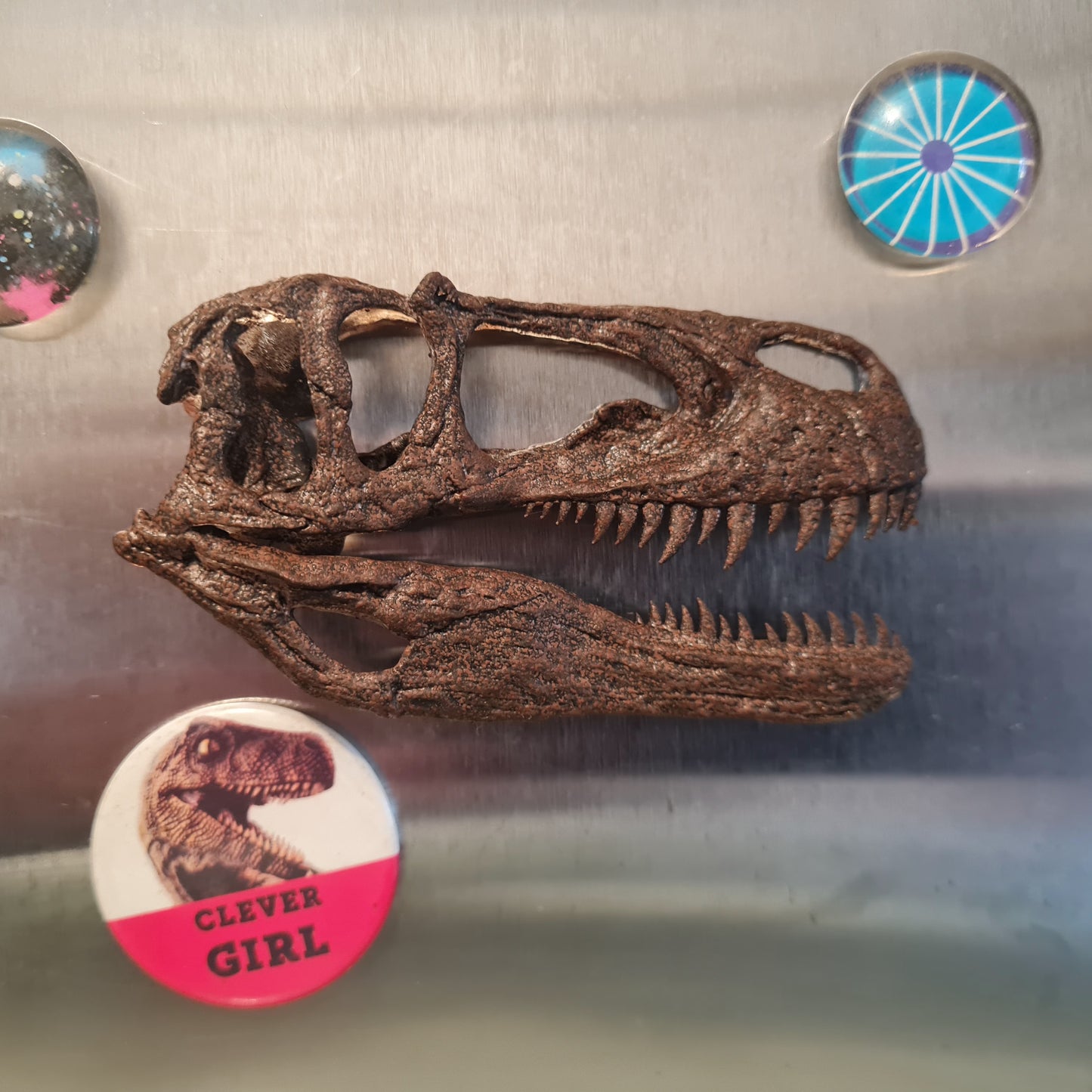 Megalosaurus bucklandii Magnet