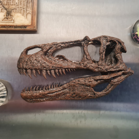 Megalosaurus bucklandii Magnet