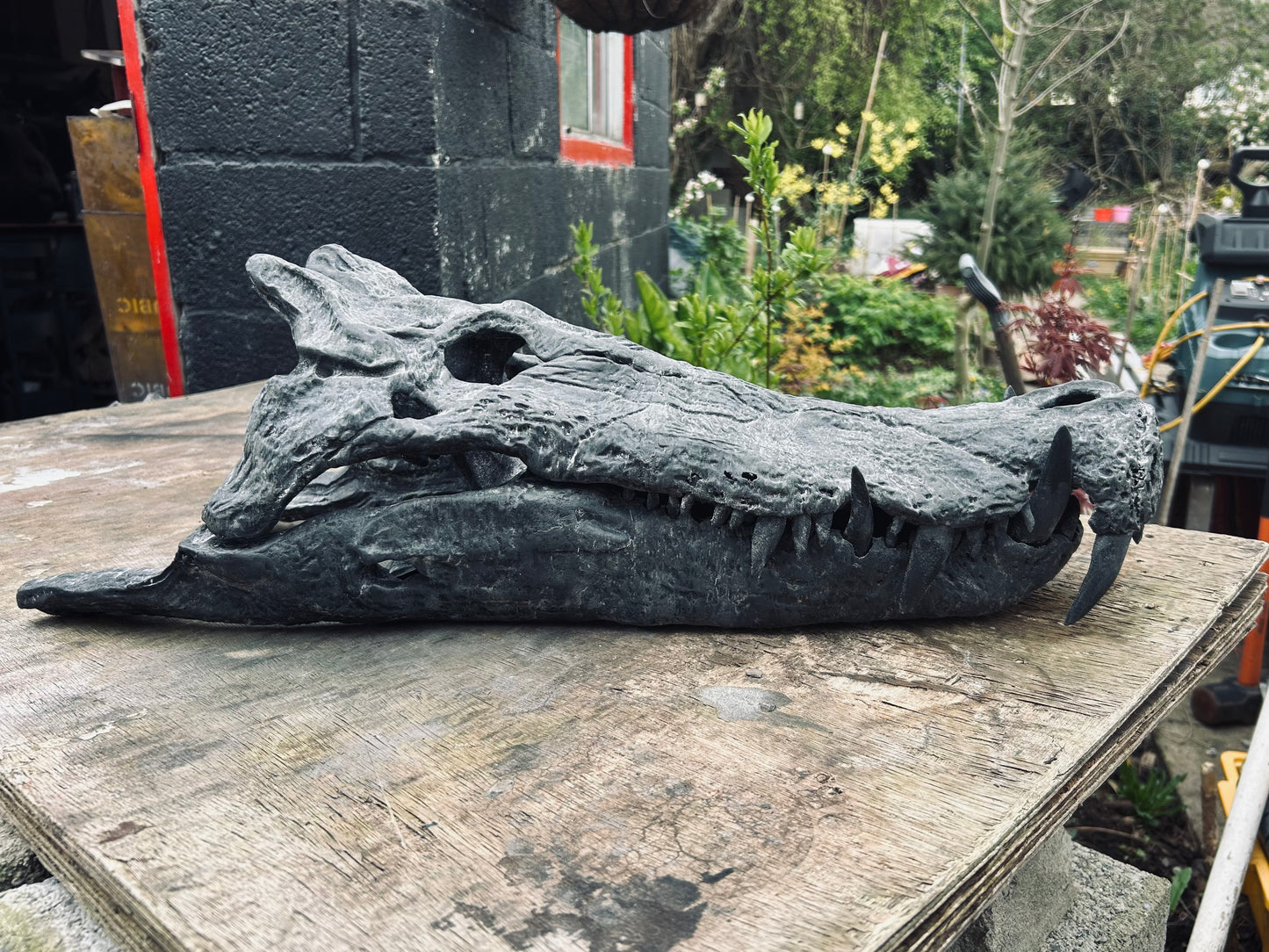 Kaprosuchus saharicus [1:1 scale]