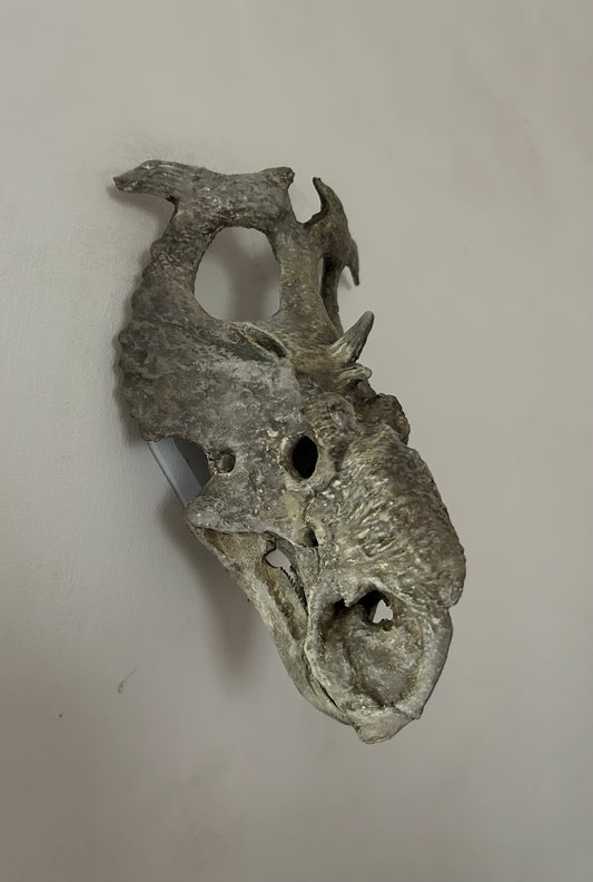 Pachyrhinosaurus canadensis