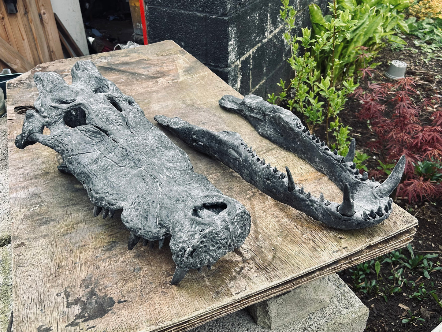 Kaprosuchus saharicus [1:1 scale]