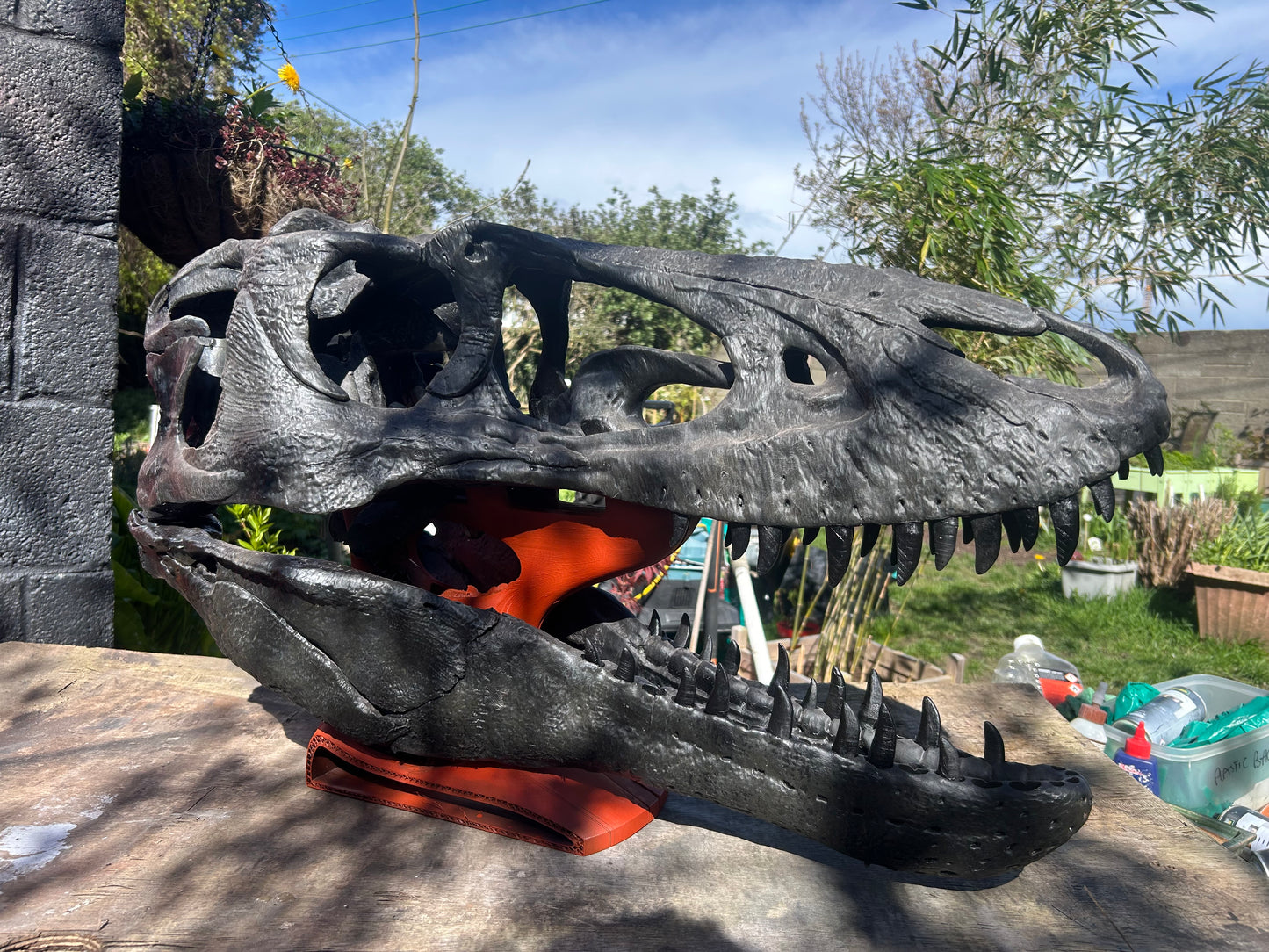 Nanotyrannus lancensis [Type 2 - '40k'] [1:1 scale]