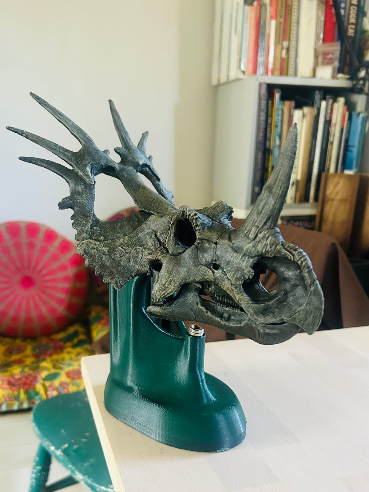 Styracosaurus albertensis