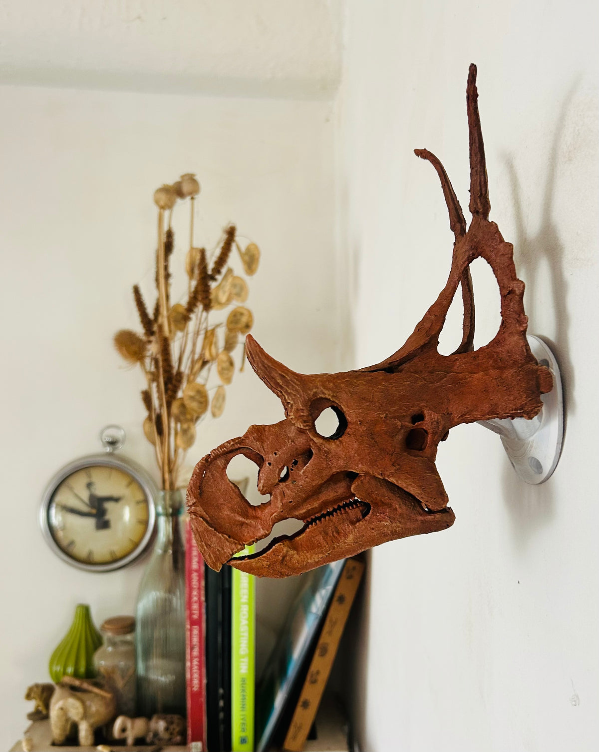 Diabloceratops eatoni
