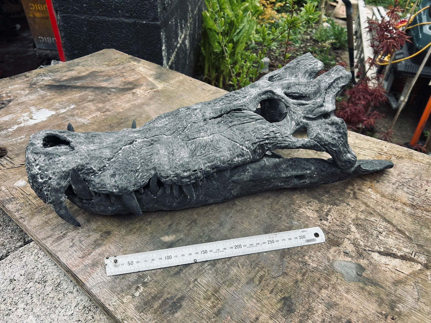 Kaprosuchus saharicus [1:1 scale]