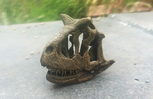 Carnotaurus sastrei  1:10 (bb)