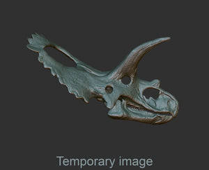 Coahuilaceratops Magnet