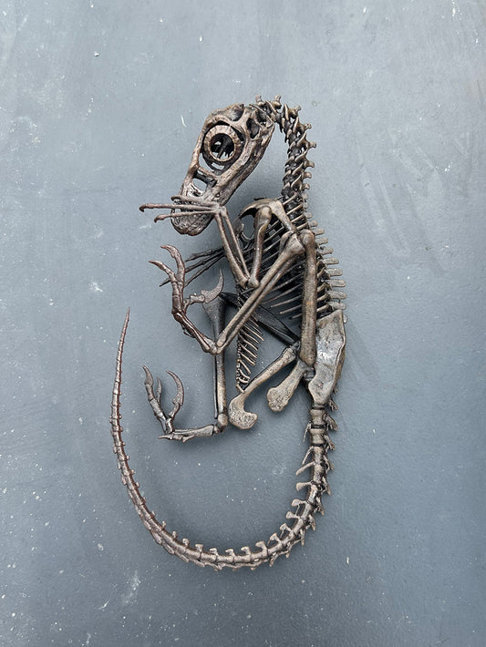 Deinonychus Hatchling