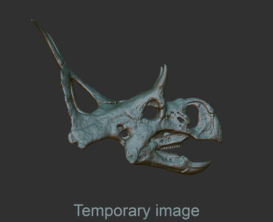 Diabloceratops Magnet (bas relief)