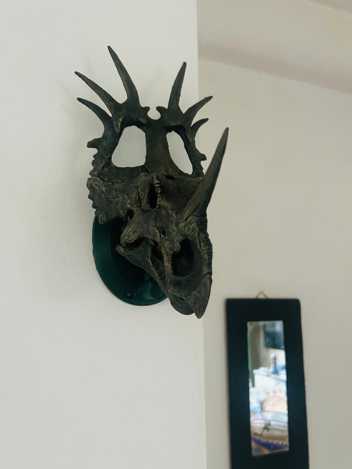Styracosaurus albertensis