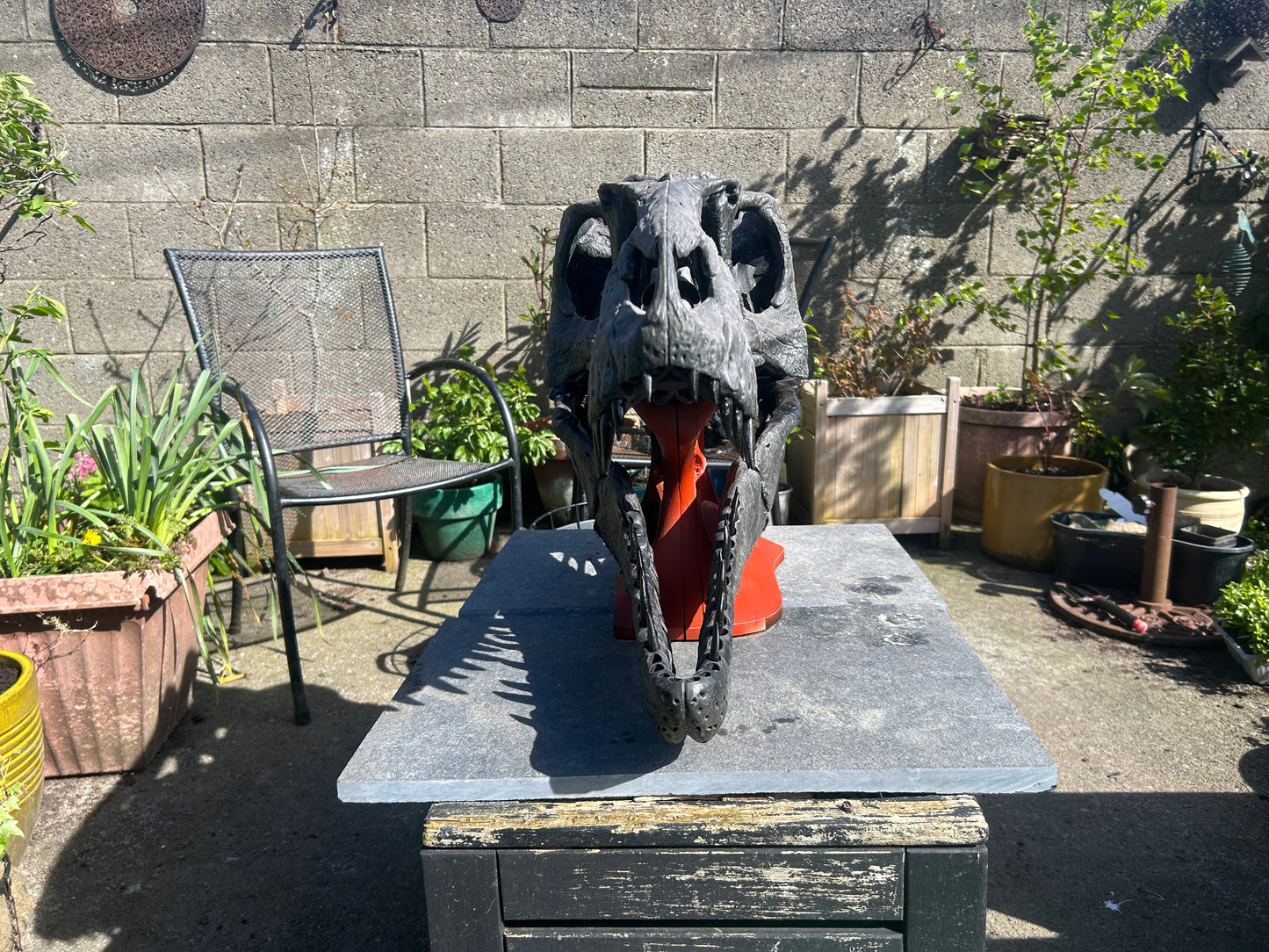 Nanotyrannus lancensis [Type 2 - '40k'] [1:1 scale]